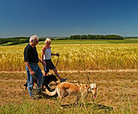 hundefreundliche Hotels im Bayerischen Wald