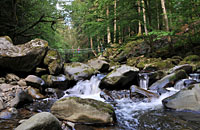 Wandern in der Buchberger Leite Bayerischer Wald