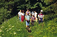 Wandern im Bayerischen Wald