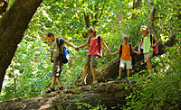 Wandern im Sonnenwald Bayerischer Wald