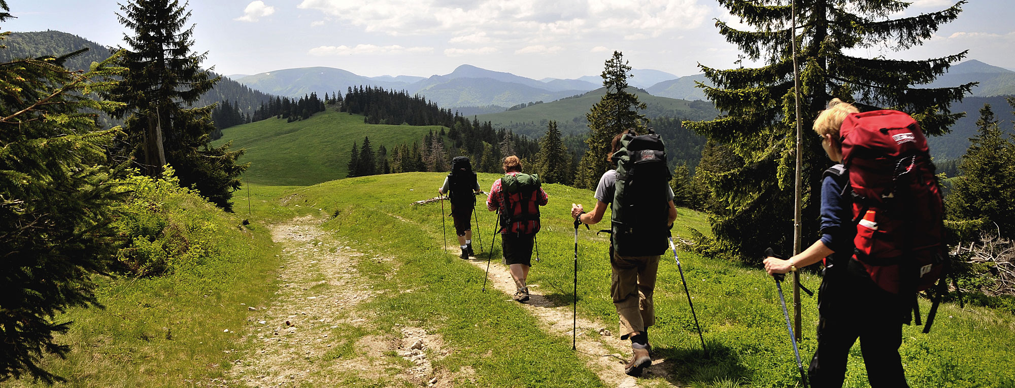 Urlaubstipps Bayerischer Wald / Bayern